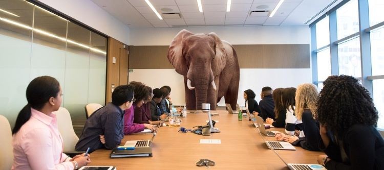 Elephant in room